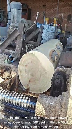 Turning Logs into Clean Wood Blanks 🌳✅