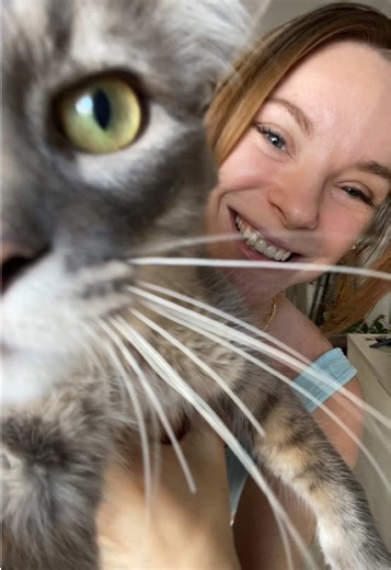 Videos de Watermelon Jules (@jules_bond_) con “Sugar On My Tongue - Tyler, The Creator”