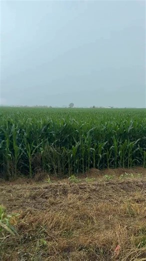 The Brutal End for Bloody Bill Anderson #bloodybill #civilwar #Bushwackers #fblifestyle | Jeff Schreckler