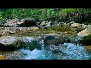 Peaceful River Flowing Sound. Gentle River, Relaxing Nature River Sounds. White Noise for Sleep.