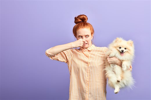 5 Foods That Can Cure Your Dog's Bad Breath — Best Life