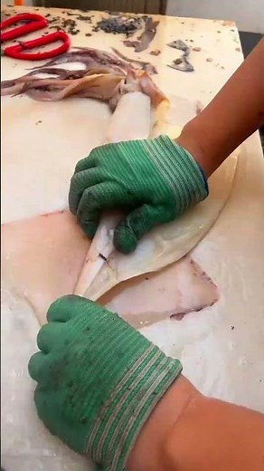 Secrets to Cleaning Octopus for Delicious Recipes 4