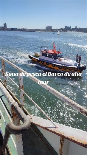 Barco de Alta Mar: Salida y Aventura Pesquera