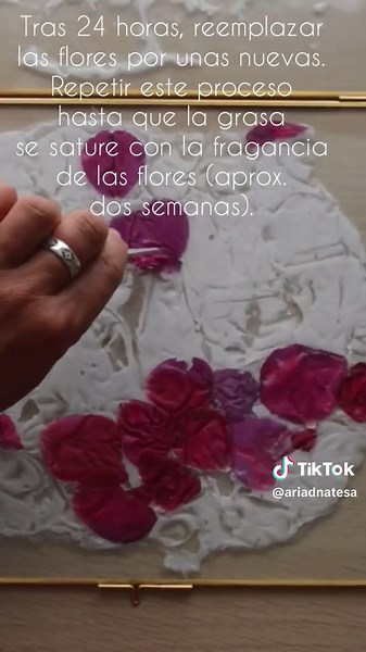 ENFLEURAGE - Técnica tradicional para extraer el aroma de las flores. #flores #perfume #enfleurage #extraction Video completo: Enfleurage, cómo hacer perfume natural de rosas - Kiki NARDIZ https://youtu.be/fYiwnFMwegc