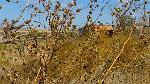 Ghost Town of Endee, New Mexico… a true forgotten stop on the 1926 alignment of Route 66. What used to be a small ranching community is now one of the quietest ghost towns on the Mother Road — surrounded by open skies, old walls, and memories of travelers who passed through nearly a century ago. This short look at Endee shows just how remote and peaceful this stretch really is. Hard to believe thousands of Route 66 travelers once rolled through here every year. 📍 Route 66 Road Relics | 22255 W 