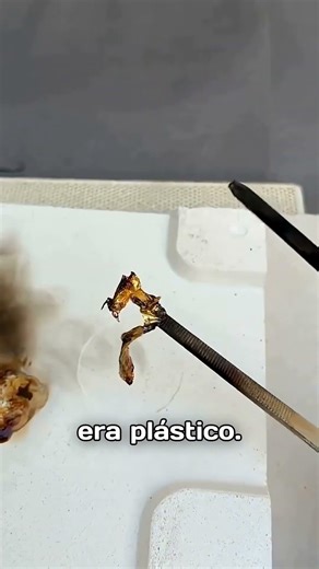 What I found inside this Oreo will surprise you 😨🍪 #shorts