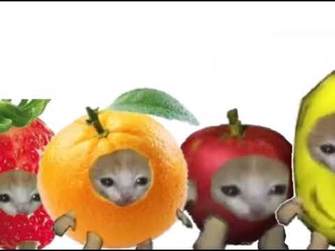 berserk fruits cat meme