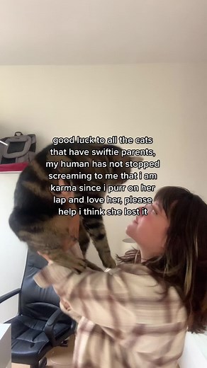 ops- #foryoupage #fy #catsoftiktok #cats #foryou #pets #petsoftiktok #swifttok #swiftie #taylorswift #karma