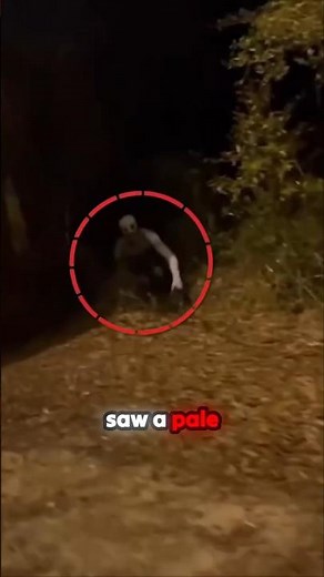 What was hiding in the woods? #rake #creature #cryptid