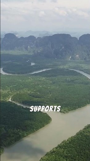 Mekong River: The Lifeline of Southeast Asia #OneWorldOneStory #oneworldonestory #facts