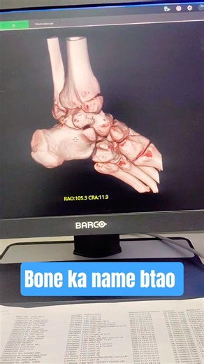 3D VIEW OF FOOT 🦶 #anatomy