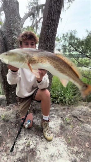 Redfish Fishing in South Carolina: Mullet Munchers Action