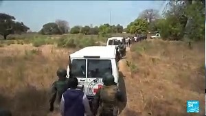 1.1K views · 31 reactions |  Separatist rebels on Monday released seven Senegalese soldiers they captured last month. This follows negotiations involving the West African regional bloc ECOWAS. FRANCE24's Wassim Cornet reports ⤵️ | FRANCE 24 English | Facebook