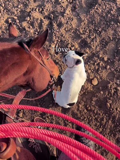 Shelby | CA & AZ Photographer on TikTok