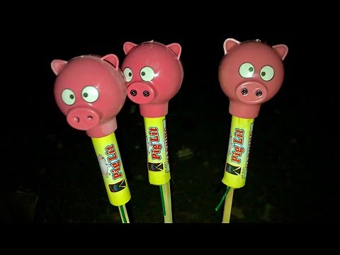 We Bought FIREWORKS & Lit Them at the Firework Store!