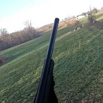450 Bushmaster VS Deer