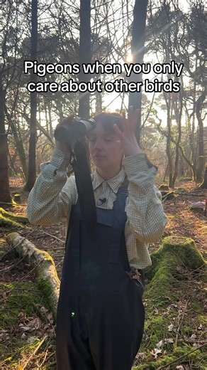 A Pigeon’s Perspective on Spring in the UK