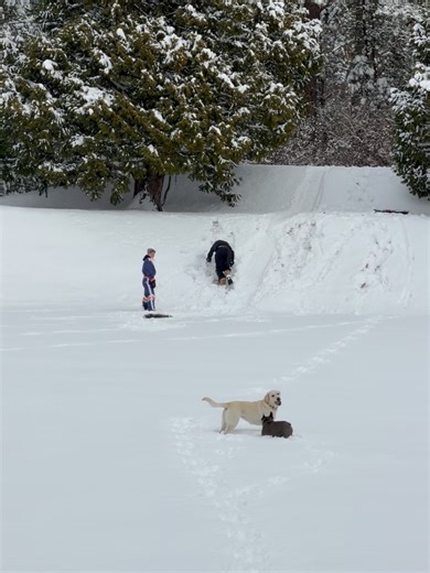 Neil Patrick Harris on Reels