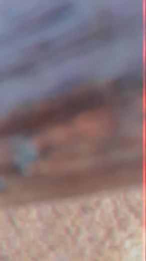 🚩SATHEESH RATHOD🚩 (@613sathish_rathod)’s videos with original sound - Kathy Knight