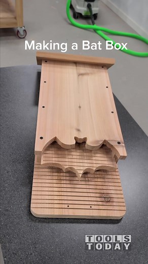 Creating a Wooden Bat Box: Your Thoughts?