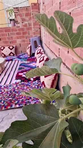 #morocco #maroc #marocaine🇲🇦