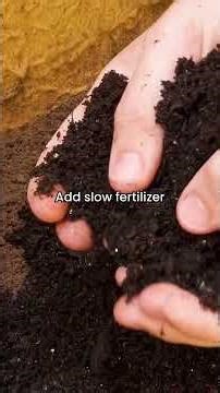 Stop Starving Your Garlic (Easy Fix!)