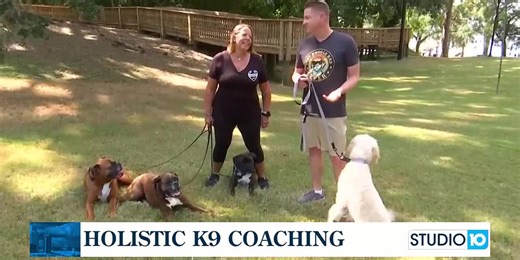 An introduction to Holistic K9 Coaching