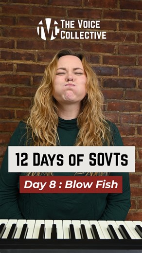 The Voice Collective | Vocal Studio on Instagram: "Day eight of ✨12 Days of SOVTs✨ is about blowfish! This is my favorite SOVT, and with good reason! It really helps to find a really efficient vocal fold closure. I, personally, do blowfish almost every day. I think it feels like a massage on my vocal folds. Make sure you’re following us so you can get the last four days of our SOVT series! #vocalwarmup #vocalexercises #singer #voiceteacher #voicelessons"