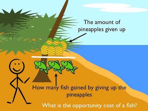 Basic Economic Principles 2: Calculating Opportunity Cost