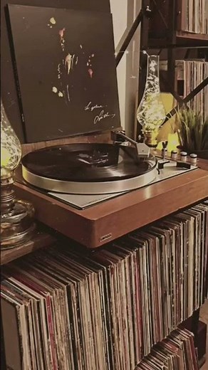 Tom Jobim _Bossa Nova Instrumental _ Uma seleção de primeira #shorts