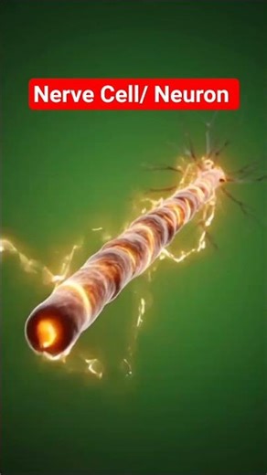 👉 “NEET Biology | Cell – Basic Unit of Life | Class 11”