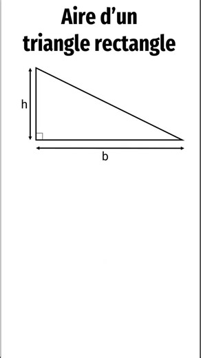 Aire d'un triangle rectangle #maths #aire #triangle