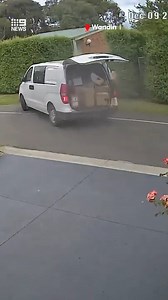 An Australia Post van has been caught driving with its boot open, with parcels falling onto the road as it turns a corner. Locals say the driver did not return to pick up the dropped packages, instead leaving neighbours to contact their rightful owners. In a statement provided to #9News, Australia Post says that the incident does not meet its delivery standards and apologises to all affected customers, with all parcels being accounted for and subsequently delivered safely. #9News | WATCH LIVE 6p