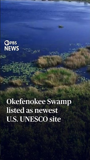 WATCH: Okefenokee Swamp listed as newest U.S. UNESCO site