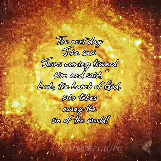 Jesus takes the sin of the world away prais the king of kings and lord of lords #bible #jesusisking