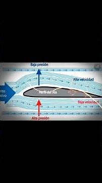 How does an airplane fly? What physics and aeronautical engineering say