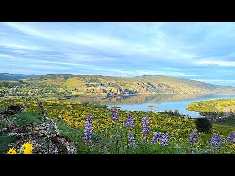 Appollio - 60 BPM Piano for Relaxation, Meditation, Tai Chi and Yoga
