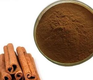 [Hot Item] Cinnamon Extract Powder with 20% Polyphenols