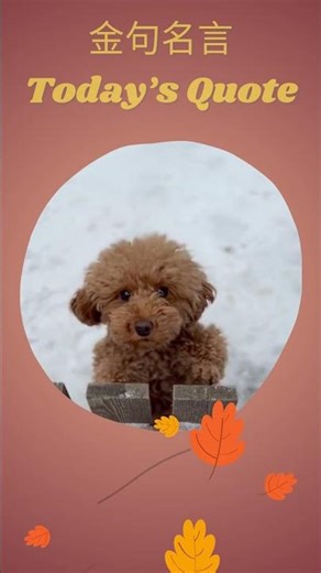 ND #56 Motivational, inspirational and encouraging quotes for you