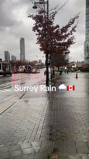Rainy Day in Surrey, Canada 🌧️🍁