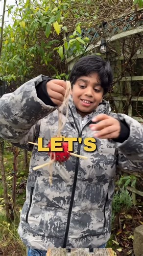 Anil Kunchala on Instagram: "Apple bird feeder!! As a keen birder, Aneeshwar invites you all to turn a simple apple into a tasty treat for local birds while learning through hands-on fun. This easy apple bird feeder activity uses everyday materials and encourages young Scouts to connect with nature. All you need is one apple, some sunflower seeds, string or twine, and a knife or apple corer. Begin by pouring the seeds into a bowl, ready for decorating. With adult supervision, carefully remove th