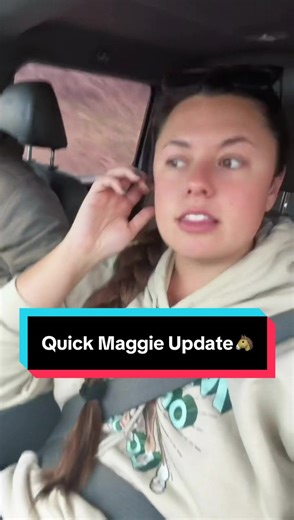 Quick Maggie Update🐴 | katie van slyke maggie