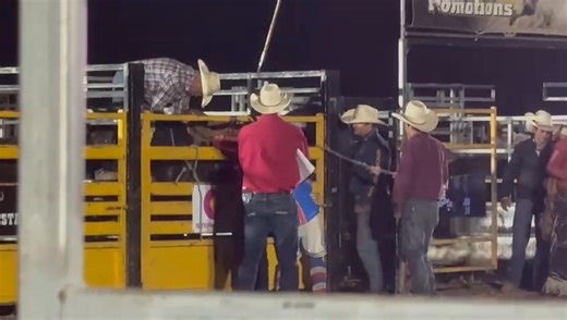 🐎STR was very proud to attend and sponsor the Murray Bridge Rodeo. We haven't seen the Rodeo at the Bridge for over 10-years and it was privilege to be involved in such a fantastic community event🐴 | Stephen Theodore Racing