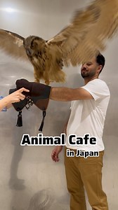 Animal Cafe in Japan my first Experience | Life in Japan #animalcafe #japan #lifeinjapan | Umer in Japan