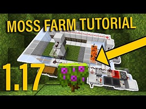 Simple/Fast 1.17 Moss Farm Tutorial (3,500 Items per Hour)