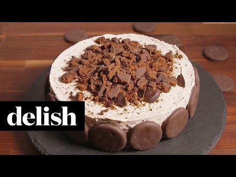 Thin Mint Cheesecake | Delish