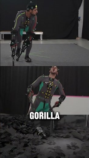 Watch how #Reallusion and Quantum Stage capture the raw, primal behavior of real gorillas