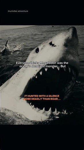 Ruling the Seas for Millions of Years 🐋 #animallife #marinelife #ocean