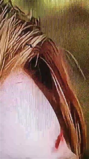 The Reason Why Thanos Didn't use infinity stones? Avengers Endgame