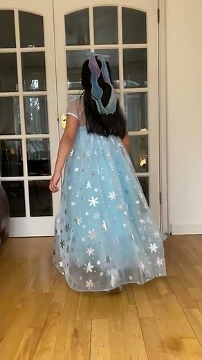 Elsa costume with complete accessories